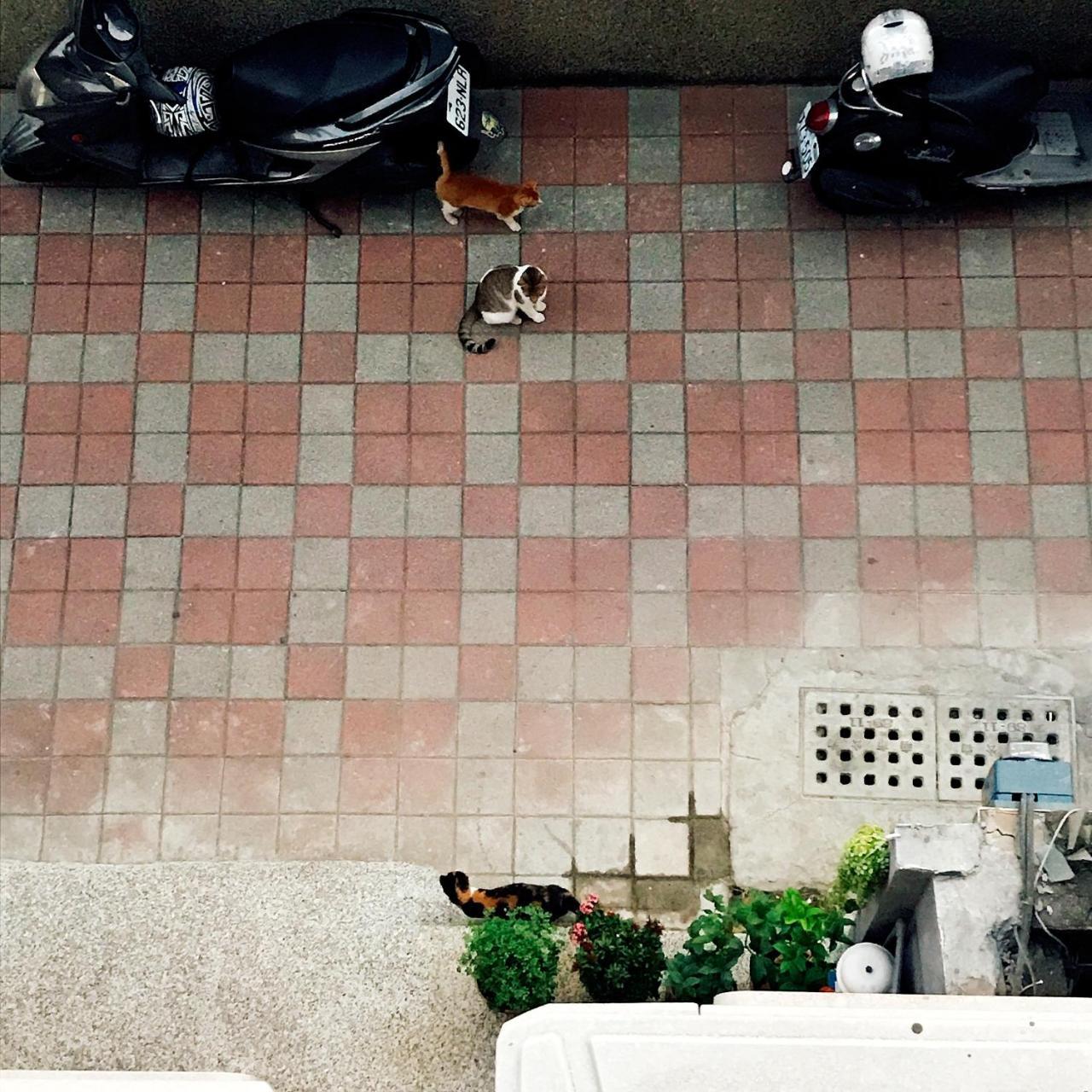 A Fat At Home Tainan Extérieur photo