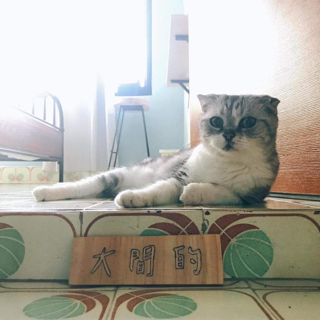 A Fat At Home Tainan Extérieur photo